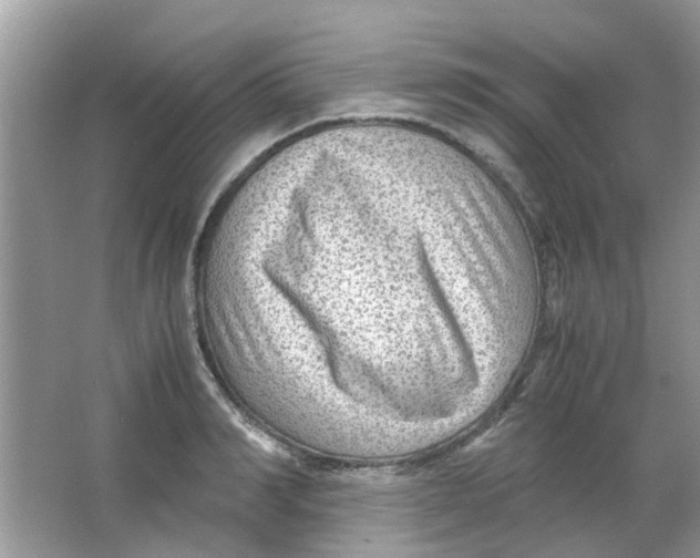 X0000065960990200603241842