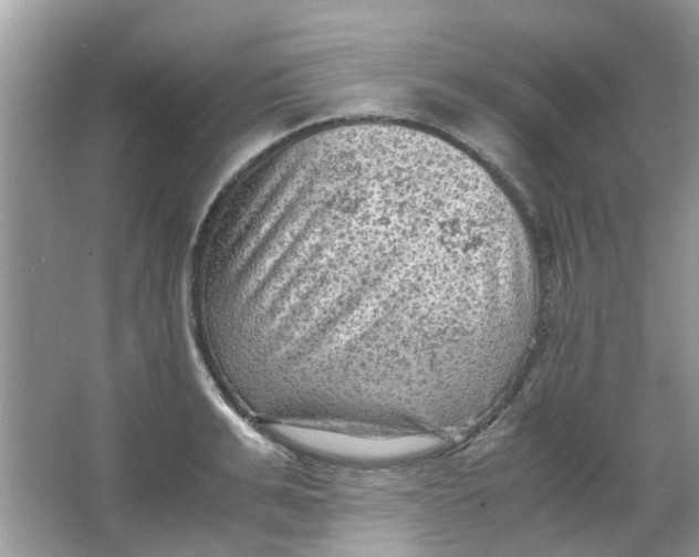 X0000065960991200603241842