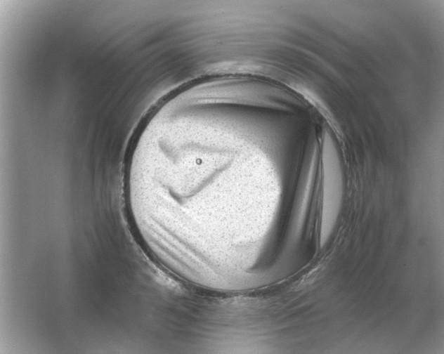 X0000065960992200603241842