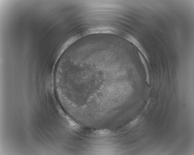 X0000065960994200603241842