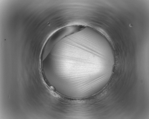 X0000065960996200603241842