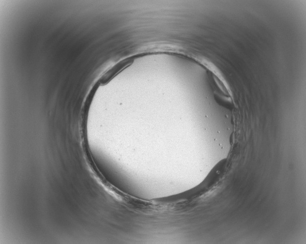 X0000065960997200603241842