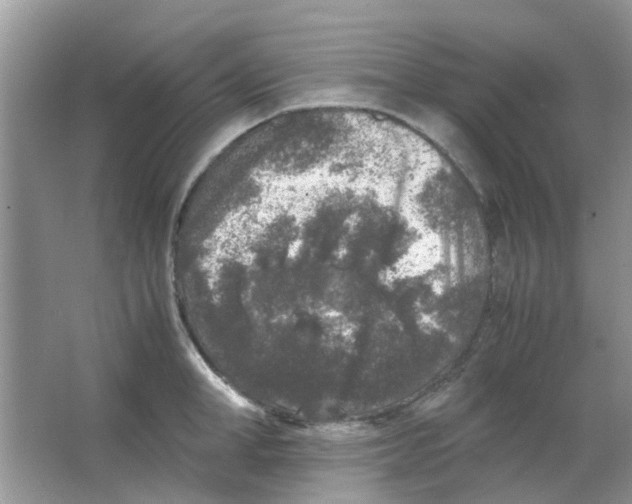 X0000065960998200603241842