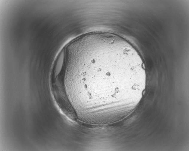 X0000065960999200603241842