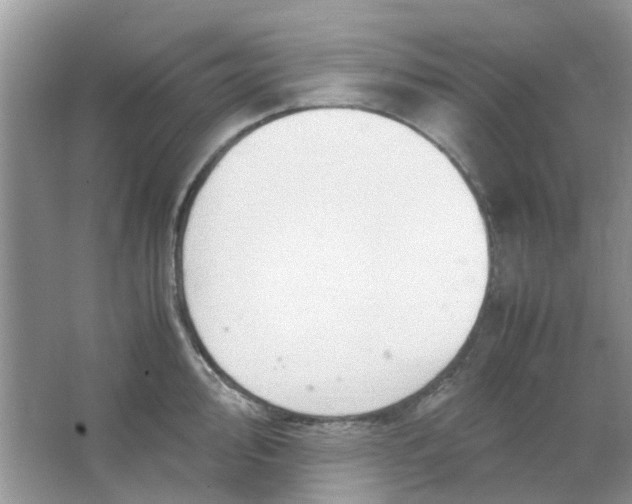 X0000065961000200603241842