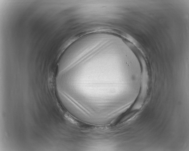 X0000065961001200603241842