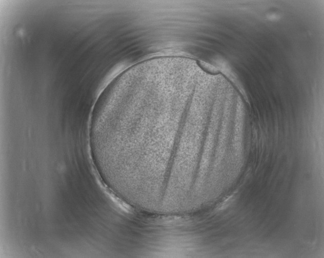 X0000065961002200603241842