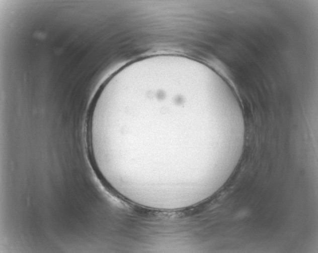 X0000065961003200603241842