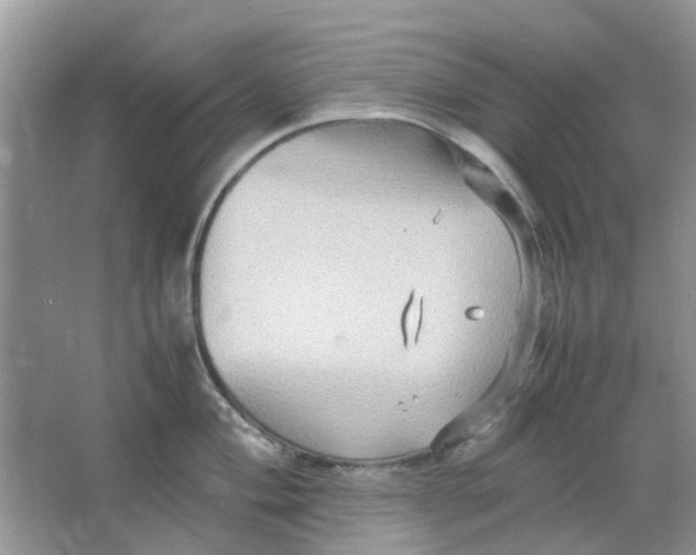 X0000065961004200603241842