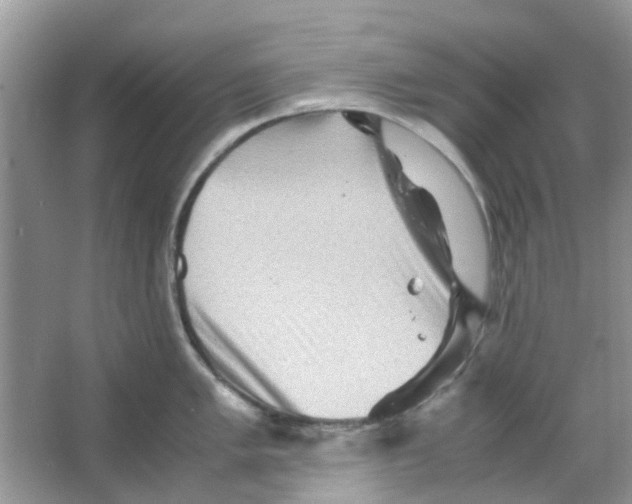 X0000065961005200603241842