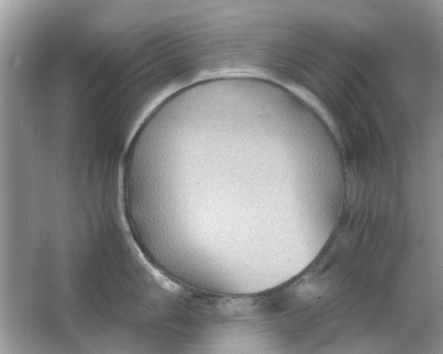 X0000065961006200603241842