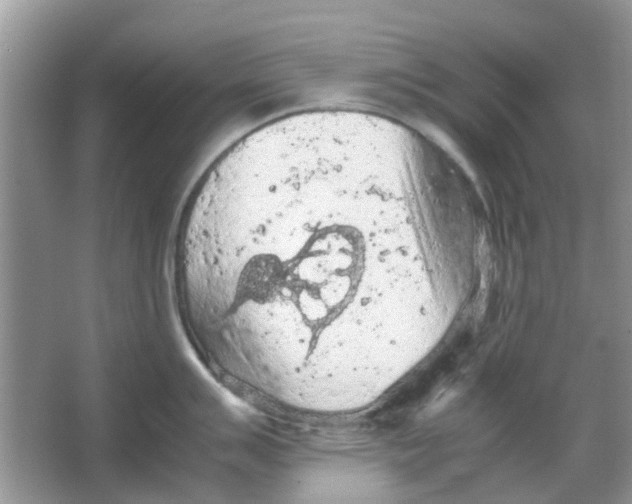 X0000065961007200603241842