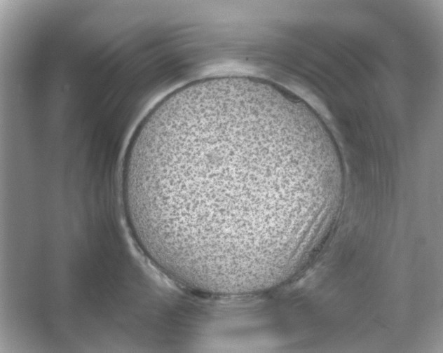 X0000065961008200603241842