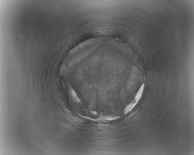 X0000065961009200603241841