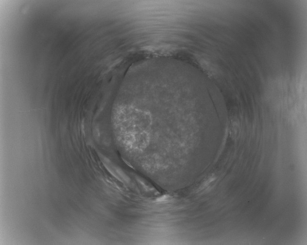 X0000065961010200603241841