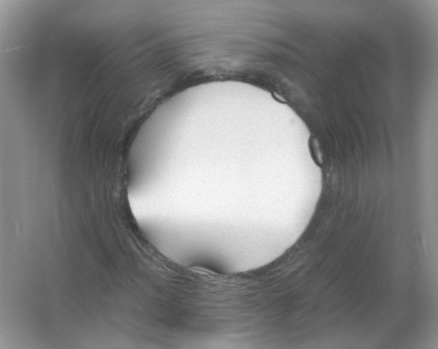 X0000065961012200603241841