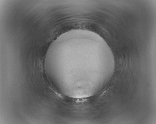 X0000065961013200603241841