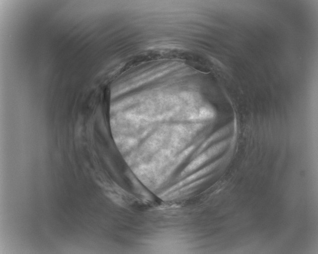 X0000065961014200603241841