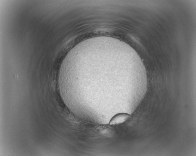 X0000065961015200603241841