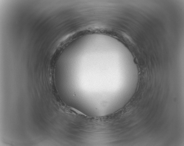 X0000065961016200603241841