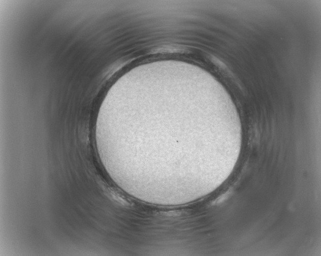 X0000065961017200603241841