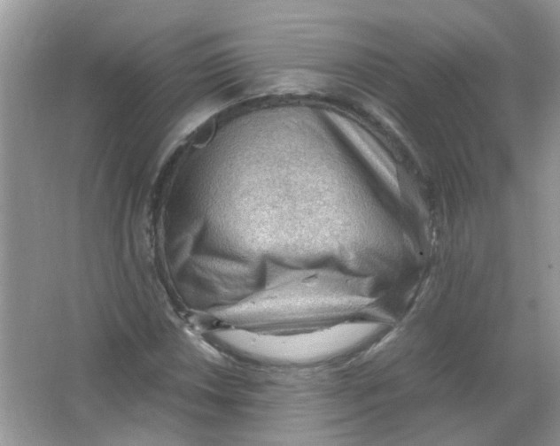 X0000065961018200603241841