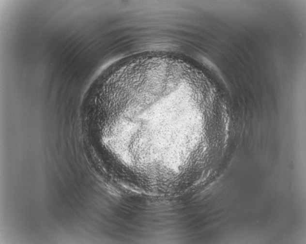 X0000065961019200603241841