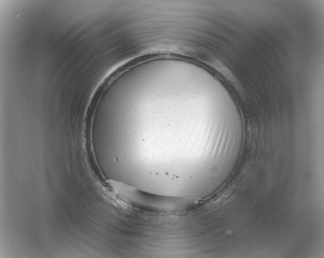 X0000065961020200603241841