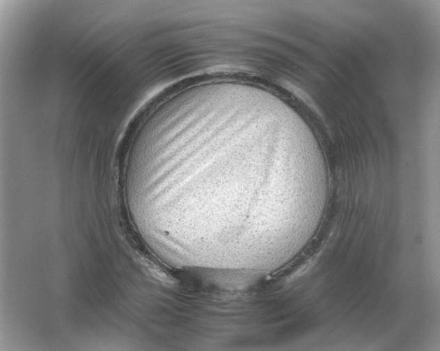 X0000065961021200603241841