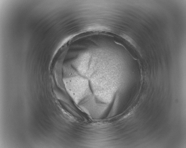 X0000065961022200603241841