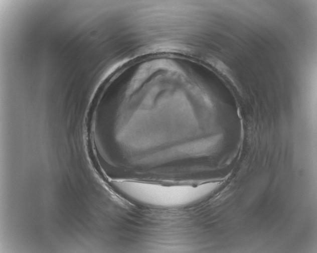 X0000065961024200603241842