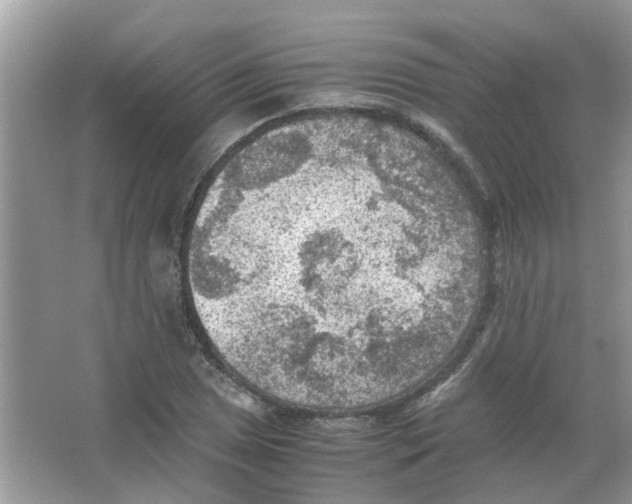 X0000065961025200603241842