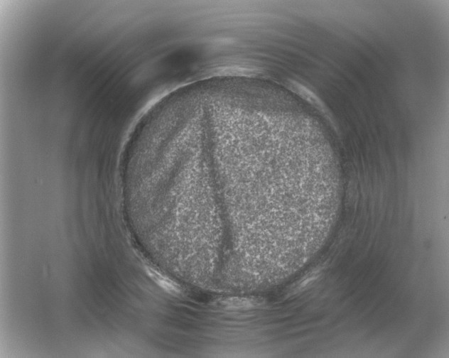 X0000065961027200603241842