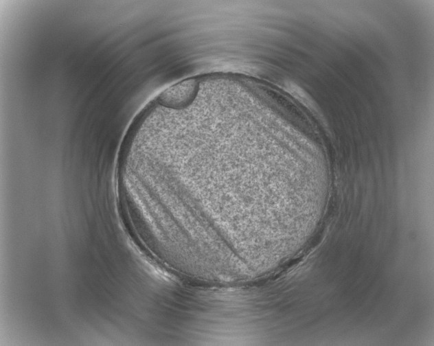 X0000065961028200603241842