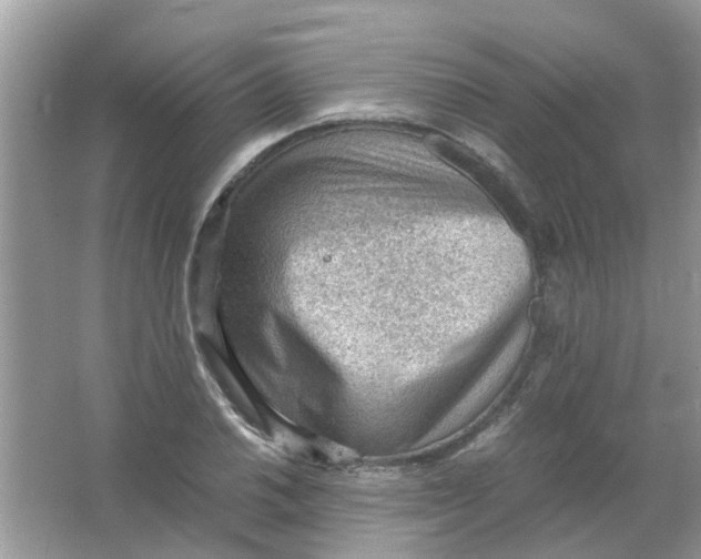 X0000065961030200603241842