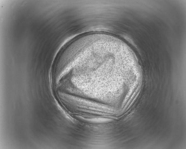 X0000065961032200603241842