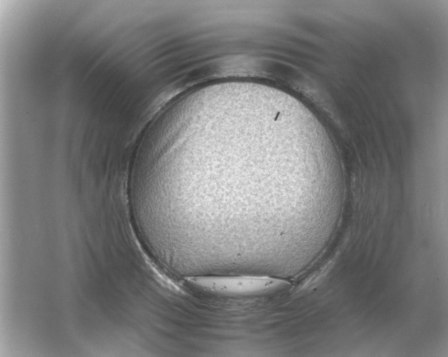 X0000065961033200603241842