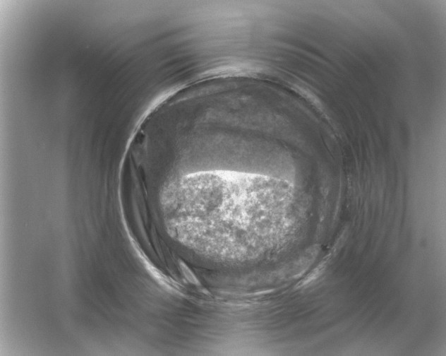 X0000065961034200603241842