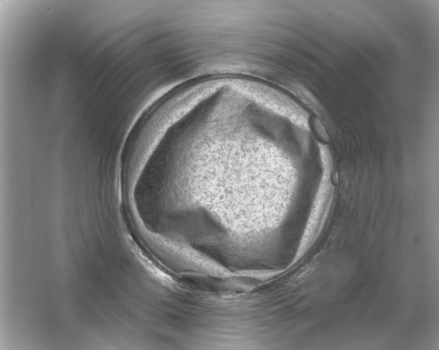 X0000065961036200603241842