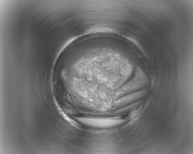 X0000065961038200603241842