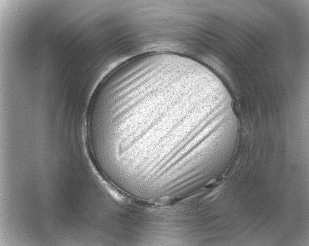 X0000065961040200603241842