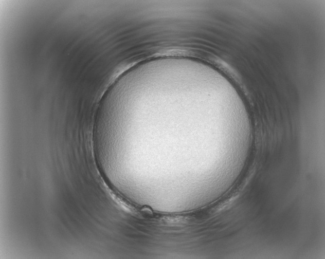 X0000065961041200603241842