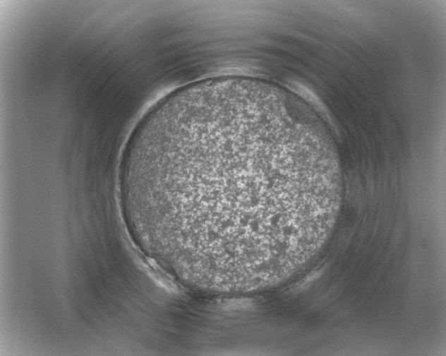 X0000065961043200603241842