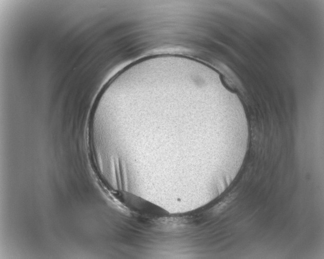 X0000065961044200603241842