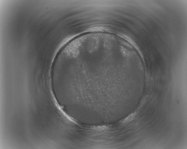 X0000065961045200603241842