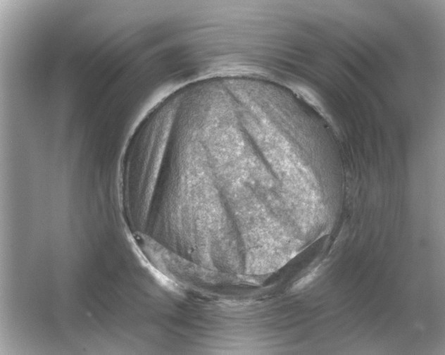 X0000065961046200603241842