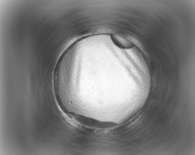 X0000065961047200603241842