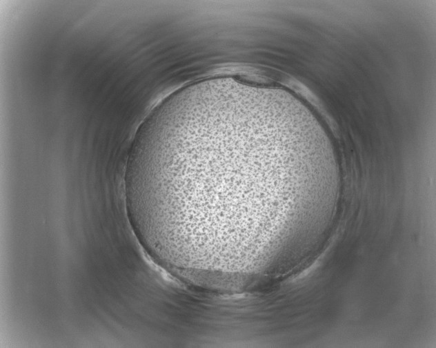 X0000065961049200603241842