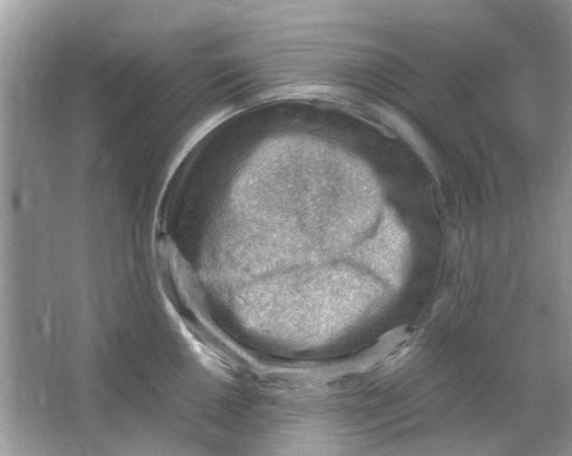 X0000065961050200603241842