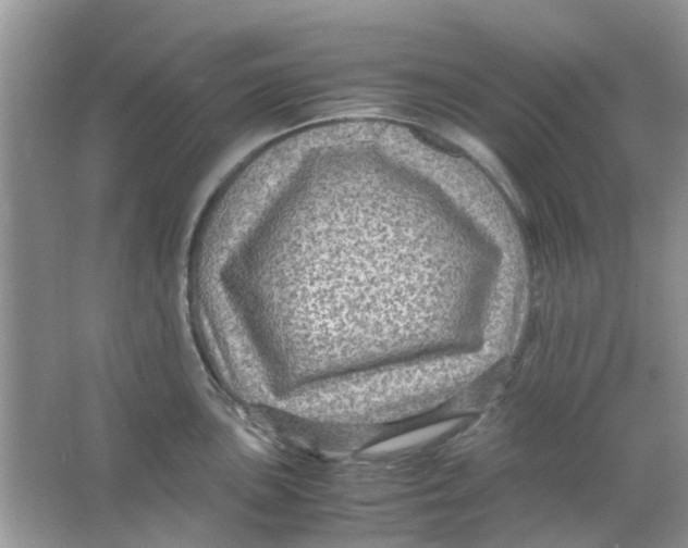 X0000065961051200603241842